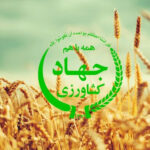 سولات مصاحبه جهاد کشاورزی
